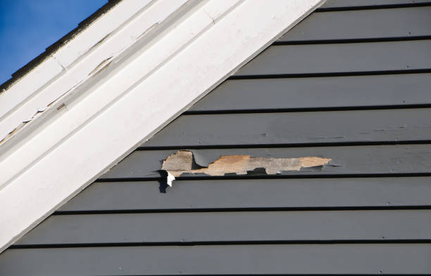 Best Appliance Removal  in West Homestead, PA